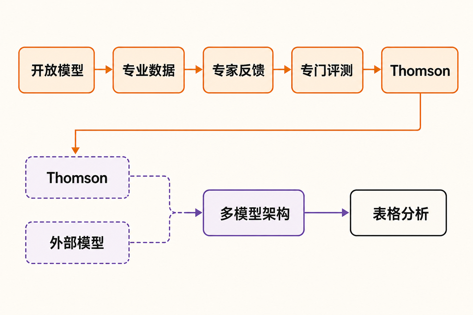 从开放模型、专业数据和专家反馈到Thomson及多模型表格分析的流程信息图