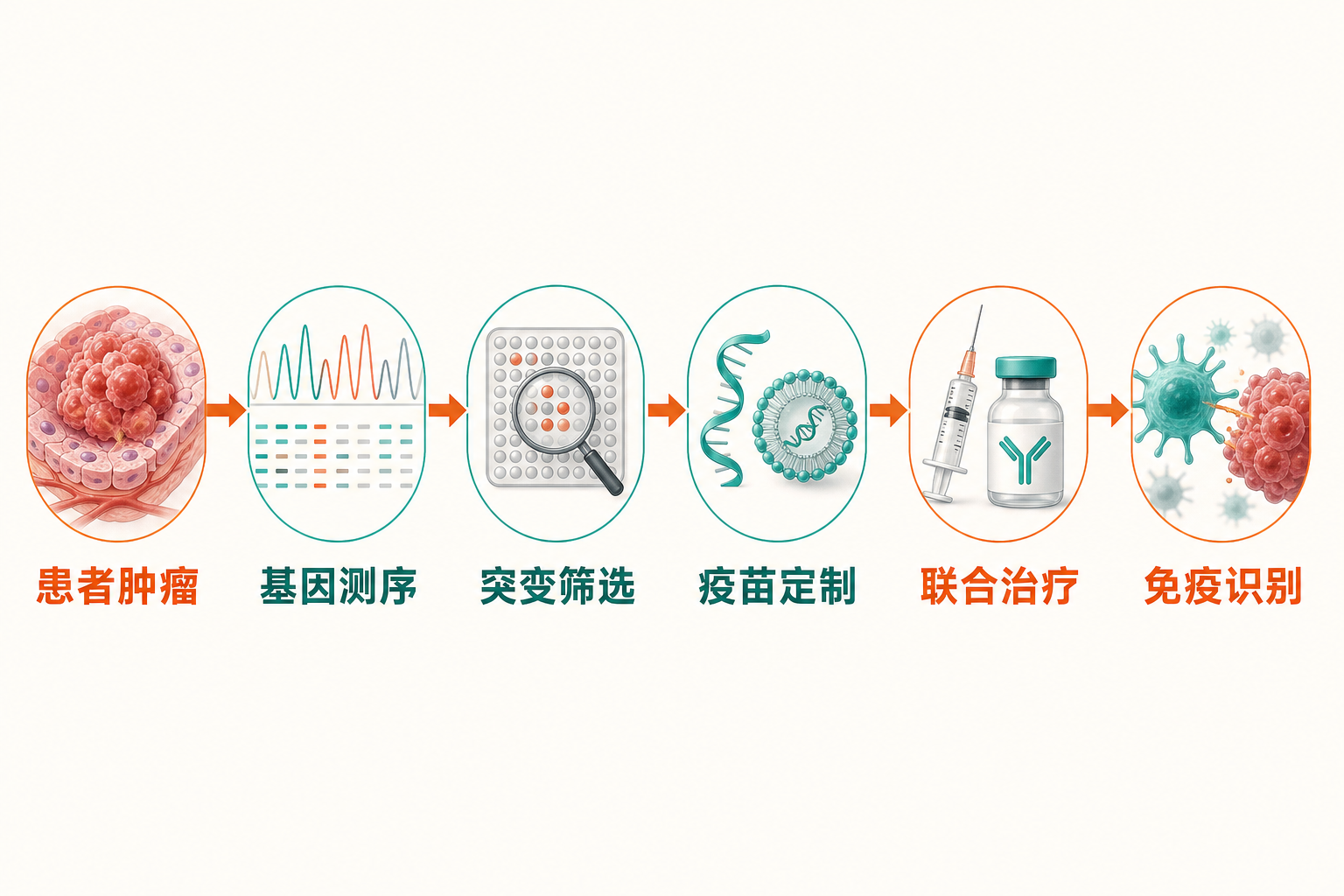 个体化mRNA癌症疗法从肿瘤取样、测序和突变筛选,到疫苗定制、联合治疗及免疫识别的流程图。