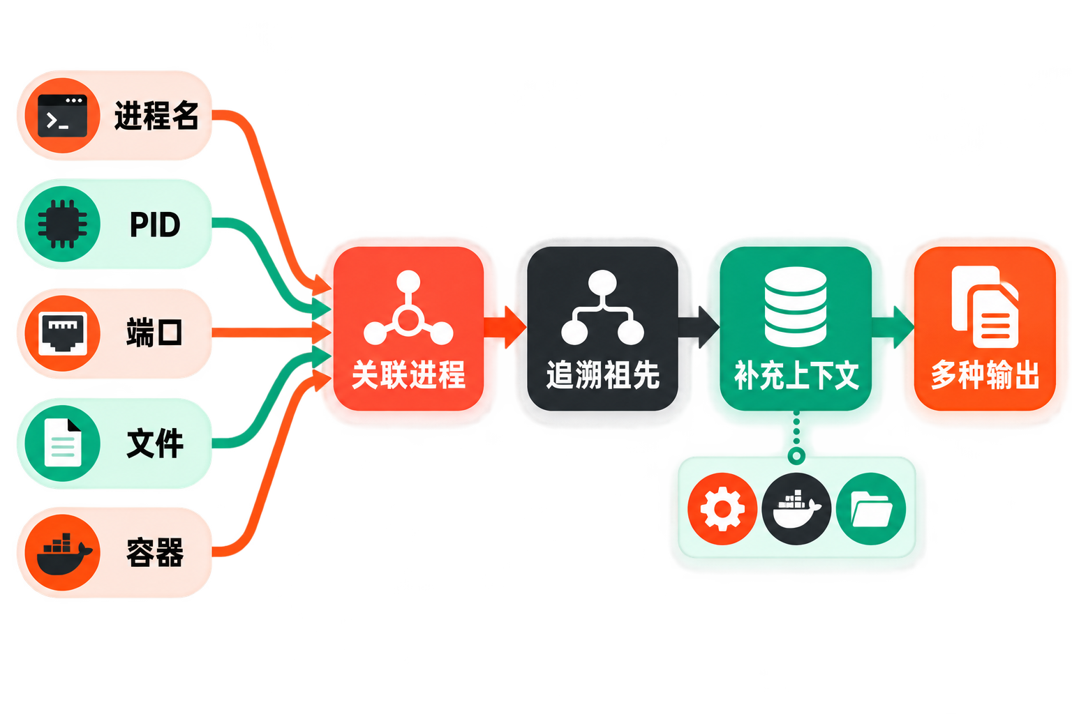 witr 工作流程图：五类查询入口汇聚到关联进程，再追溯祖先、补充上下文并形成多种输出。
